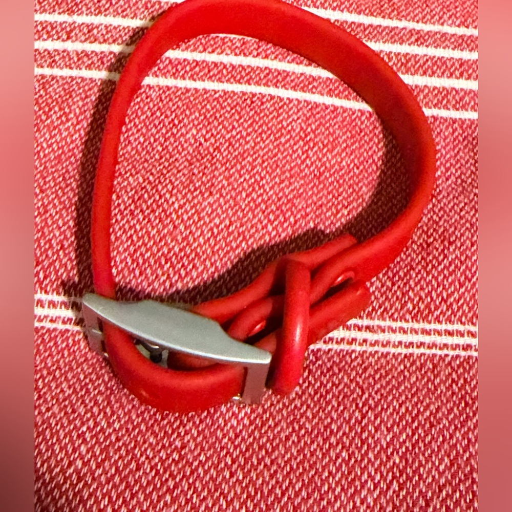 Wild One Dog Collar - Red- Size XS